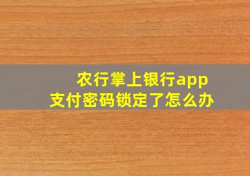 农行掌上银行app支付密码锁定了怎么办