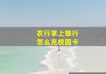 农行掌上银行怎么充校园卡