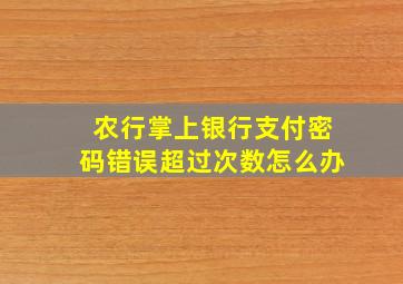 农行掌上银行支付密码错误超过次数怎么办