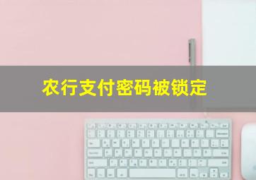 农行支付密码被锁定