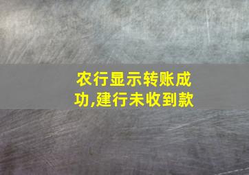 农行显示转账成功,建行未收到款