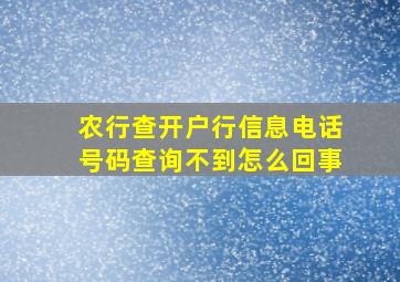 农行查开户行信息电话号码查询不到怎么回事