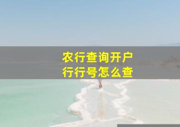 农行查询开户行行号怎么查