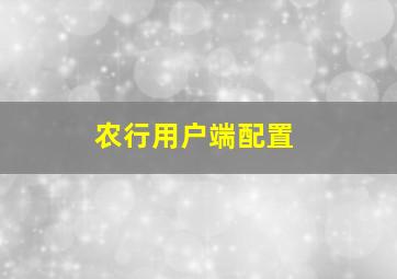 农行用户端配置