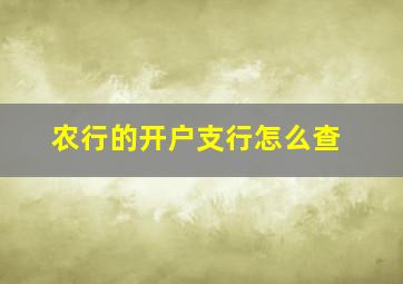 农行的开户支行怎么查