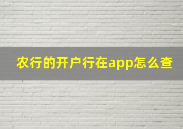 农行的开户行在app怎么查