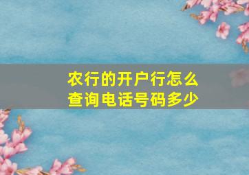 农行的开户行怎么查询电话号码多少