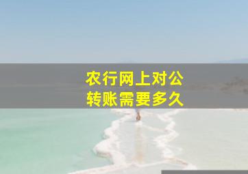 农行网上对公转账需要多久