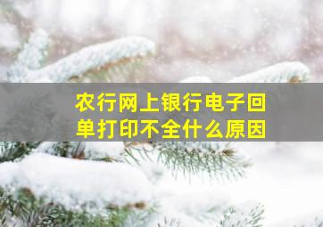 农行网上银行电子回单打印不全什么原因