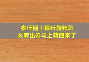 农行网上银行转账怎么转出去马上转回来了