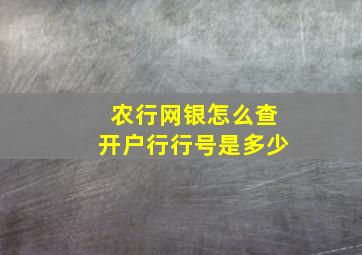 农行网银怎么查开户行行号是多少