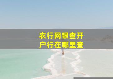 农行网银查开户行在哪里查