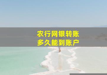 农行网银转账多久能到账户