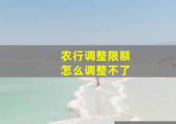 农行调整限额怎么调整不了