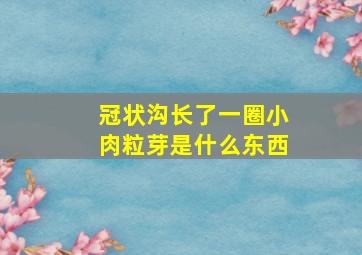 冠状沟长了一圈小肉粒芽是什么东西