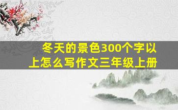 冬天的景色300个字以上怎么写作文三年级上册