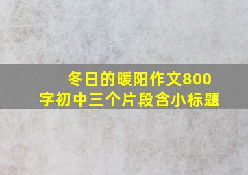 冬日的暖阳作文800字初中三个片段含小标题