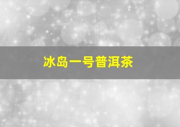 冰岛一号普洱茶