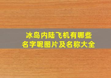 冰岛内陆飞机有哪些名字呢图片及名称大全