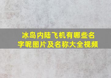 冰岛内陆飞机有哪些名字呢图片及名称大全视频