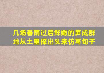 几场春雨过后鲜嫩的笋成群地从土里探出头来仿写句子