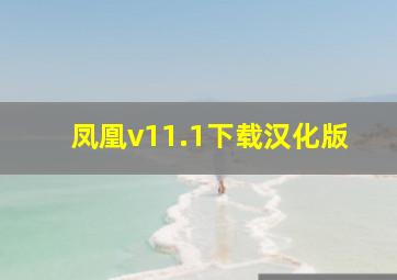 凤凰v11.1下载汉化版