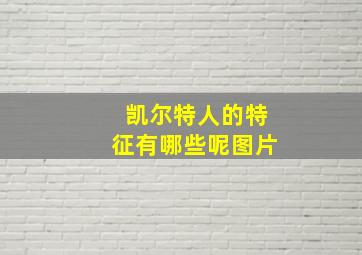 凯尔特人的特征有哪些呢图片