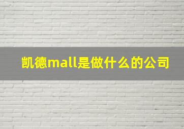 凯德mall是做什么的公司