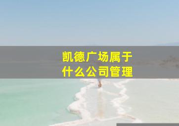 凯德广场属于什么公司管理