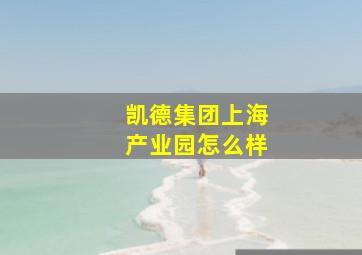 凯德集团上海产业园怎么样