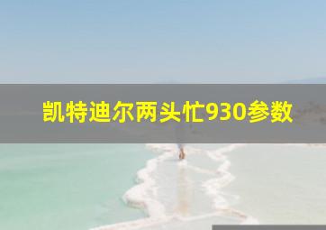 凯特迪尔两头忙930参数