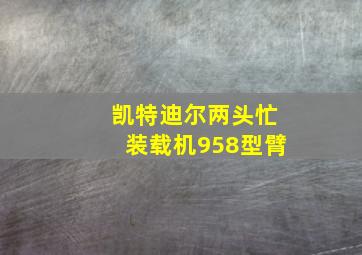 凯特迪尔两头忙装载机958型臂