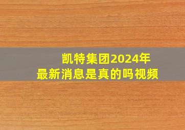 凯特集团2024年最新消息是真的吗视频