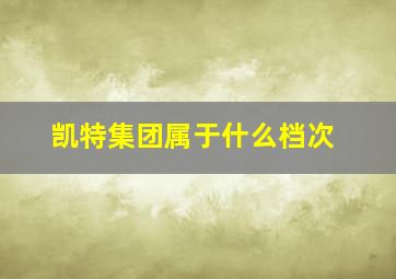 凯特集团属于什么档次