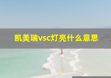 凯美瑞vsc灯亮什么意思