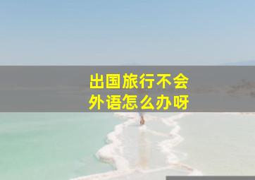 出国旅行不会外语怎么办呀