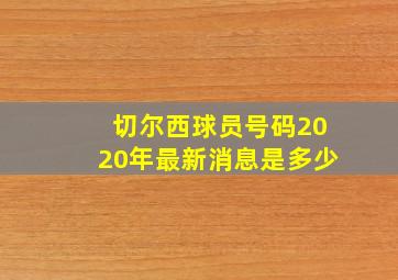 切尔西球员号码2020年最新消息是多少