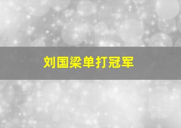 刘国梁单打冠军