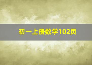 初一上册数学102页