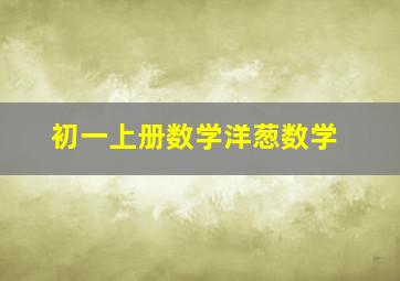 初一上册数学洋葱数学