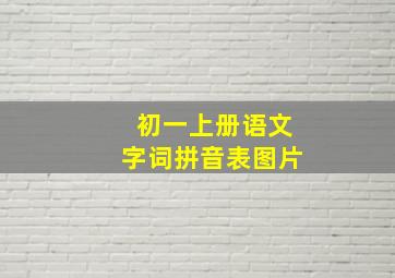 初一上册语文字词拼音表图片