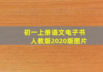 初一上册语文电子书人教版2020版图片