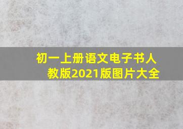 初一上册语文电子书人教版2021版图片大全