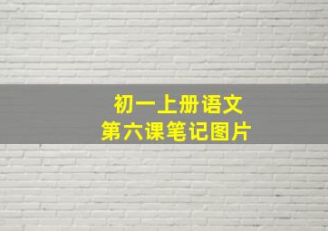 初一上册语文第六课笔记图片