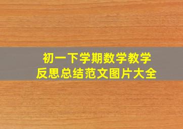 初一下学期数学教学反思总结范文图片大全