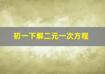 初一下解二元一次方程