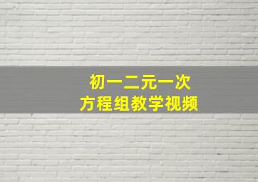 初一二元一次方程组教学视频