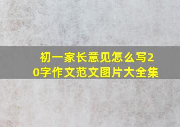 初一家长意见怎么写20字作文范文图片大全集