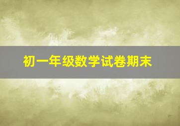 初一年级数学试卷期末