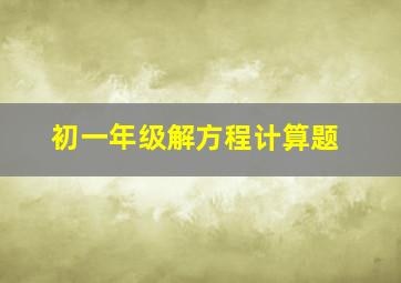 初一年级解方程计算题